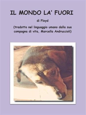 cover image of Il mondo là fuori